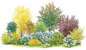 Farbenfroher Sichtschutz Blutenhecken Anlegen Und Pflegen Blutenhecke Krautergarten Design Blumen Im Blumentopf