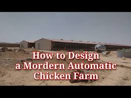 First, the farmer needs to take into account the number of birds he/she intends to rear. How To Design A Modern Automatic Chicken Farm I Layers Chicken Farming I Poultry House Design Youtube