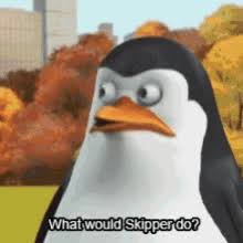 Share the best gifs now >>>. Penguins Of Madagascar Gifs Tenor