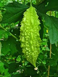 Pin On Legumes
