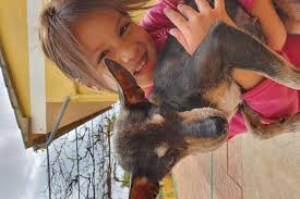 Asociación El Arka de Tia Vivi