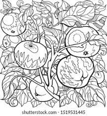756 kb 2480 by 3508 pixels apple tree for coloring. Stock Photo And Image Portfolio By Lebedeus Shutterstock