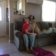Any other information, including awards and accreditation, hours, and cost, were provided by this business and may not reflect its current status. Peace Love Pets Veterinary Care Updated Covid 19 Hours Services 10 Photos 21 Reviews Veterinarians 6229 Jericho Turnpike Commack Ny Phone Number Yelp