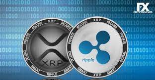 Ripplex Award 2 Million To Promote The Nft Solution On The Xrp Ledger Fxcryptonews