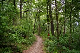 We did not find results for: How To Visit Hot Springs Arkansas Outdoorsy Com