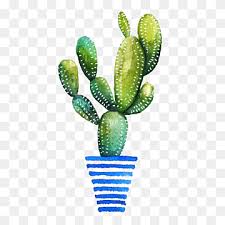 We did not find results for: Potted Cactus Plants S Cactaceae Drawing Painting Cactus Watercolor Painting Color Happy Birthday Vector Images Png Pngwing