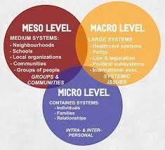 Define Identify Micro Meso And Macro Worlds And Five Examples Explain The Difference B Social Work Theories Case Management Social Work Clinical Social Work