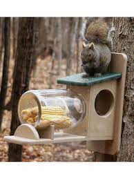 Nature Crafts Beach Crafts Kids Craft Projects Family Activities Kids Summer Crafts Kid Activities Summer Kid Squirrel Feeder Diy Squirrel Feeder Bird Feeders