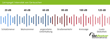 Ruhestörung wegen lärgesetze und ordnungen. Ruhestorung Was Mussen Mieter Vermieter Beachten