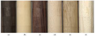 Image result for Diospyros crassiflora