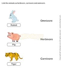 Food Chain Worksheet 7 Science Worksheets Grade 2 Worksheets Food Chain Worksheet Science Worksheets English Activities