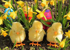 Some of the favorites are mofongo, tostones, pasteles, arroz con. Where To Celebrate Easter Sunday In Puerto Rico Tasting Puerto Rico