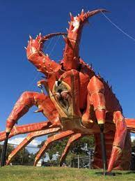 Pin By Mark Dylan Sieber On Lobster Menu Fantasia For The Slight Of Coin Like Us Baked Fennel Lobster Menu Vegetable Puree