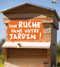 Installer Une Ruche Dans Son Jardin Conseils Et Astuces Bioaddict