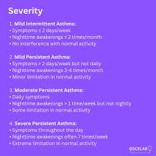 Image result for Mild Persistent Asthma
