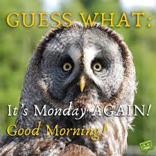 A Laugh For Breakfast Funny Good Morning Messages Funny Good Morning Messages Monday Again Happy Monday Funny