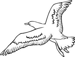 Use this lesson in your classroom, homeschooling curriculum or just as a fun kids activity that you as a parent can do. 21 Seagull Coloring Pages Ideas Coloring Pages Seagull Coloring Pictures