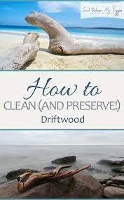 | ehow.com driftwood made smooth by ocean or river water gives you valuable source material for multiple arts and crafts projects. Clean And Preserve Driftwood How To Sandbetweenmypiggies Com Driftwood Crafts Driftwood Projects Driftwood Diy