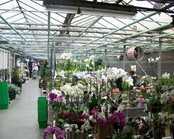 Image Result For Garden Center Wemmel Image Result For Garden Center Wemmel Image Result For Garden Center Wemmel Image R Family Garden Garden Garden Center