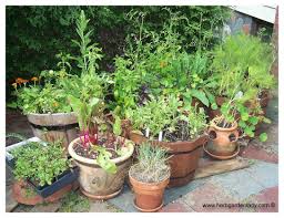 Growing herbs in containers some herbs can become extremely large at maturity. Plant A Container Garden By Following These Easy Steps