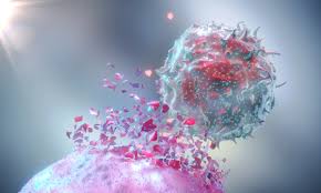 Maybe you would like to learn more about one of these? The Emergence Of Nk Cell Based Treatment In Cancer Immunotherapy Hms Postgraduate Education
