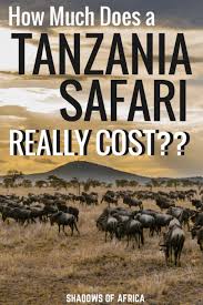 A staggering amount of africans rely on maize for their breakfast, lunch, and dinner. How Much Does A Safari Cost A Guide To Tanzania Safari Prices