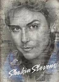 SHAKIN STEVENS