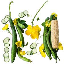 Image result for Luffa