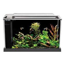 I quickly fell in love with it and was motivated to share what i have learned about modifying and maintaining this great aquarium. Fluval Spec V Aquarium 5 Gallon Black Desktop Glass Aquarium Ebay