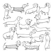 Set Of Dog Dachshund Illustrations Stock Illustration Illustration Of Friend Food 106327041 In 2020 Dachshund Illustration Dachshund Tattoo Dachshund Drawing