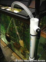 The water change begins with the timer. Diy How To Make An Automatic Water Change System