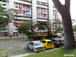 Check spelling or type a new query. Landscape Maintenance And Tree Cutting In Singapore Steemit