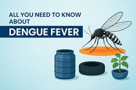 Image result for Dengue