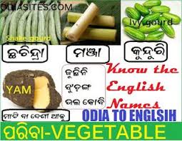 Pin On Odia Meaning Of English Words Odia Dictionary