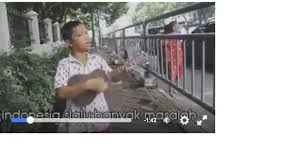 Ngeri Isi Video Sindiran Pengamen Cilik Netizen Heboh Presiden Yang Mana Kok Sensor Tribun Manado