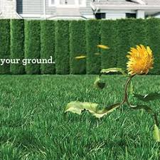 What questions to ask when hiring a lawn cutting service? Top 10 Best Lawn Care In Edmonton Ab Last Updated June 2021 Yelp
