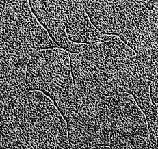 Cold and calculating, tanya sees anyone and anything as things of potential value to use to her advantage, which makes her good strategic thinking, selecting and. Ff Phages Wikipedia