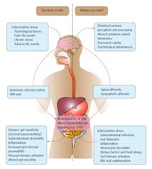 Irritable Bowel Syndrome In Children Current Knowledge