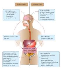 Irritable Bowel Syndrome In Children Current Knowledge