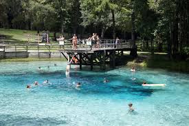 47 reviews of gilchrist blue springs state park we visited on a wednesday after finding nearby poe springs closed. Gilchrist Blue Springs State Park South Florida Reporter
