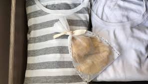 作ってみた 銀杏 イチョウ の葉でオーガニック防虫剤 Lovegreen ラブグリーン