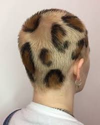 Daniel m franck, dnaiel franck, daniel frank. 67 Short Hairstyles For Women Ideas Short Hairstyles For Women Short Hair Styles Hair Styles