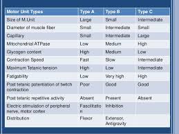 Muscle Tone