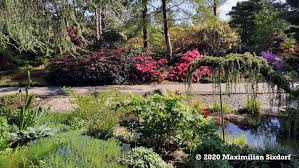 Loki schmidt garten botanical garden, hamburg: Loki Schmidt Garten Geheimtipp In Hamburg Max Six Reiseblog