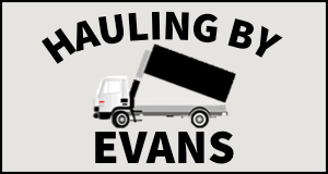 Maybe you would like to learn more about one of these? Top 3 Junk Removal Services In Taylor Mi Hometown