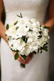 I wanted a gardenia bout or corsage and my florist told me that although they are beautiful, they are extremely. Disneyland Gardenia Bridal Bouquet Gardenia Wedding Gardenia Bridal Bouquet Gardenia Wedding Bouquets