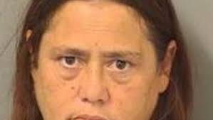 Lake Worth pair charged with stealing more than $25,000 worth of jewelry  via housecleaning service