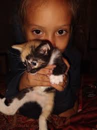 Personal discussions and needs in Ogden