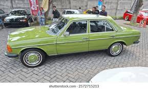 Image result for Cactus Green 1980 Mercedes