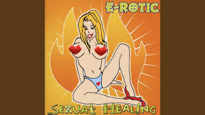 Sexual Healing - E-Rotic | Shazam